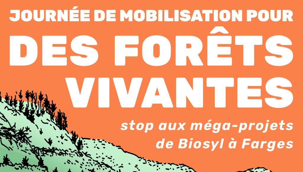 DÉFENDONS LE MASSIF FORESTIER