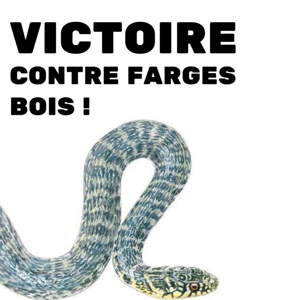 Victoire contre FargesBois&nbsp;!